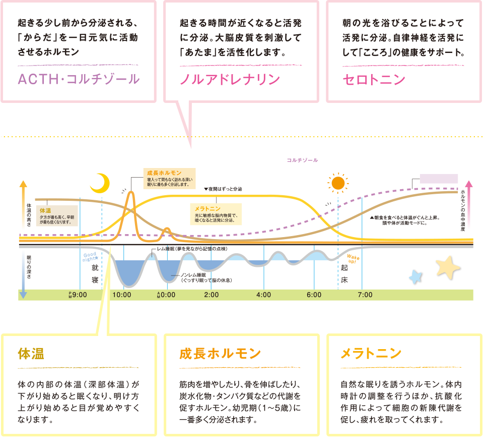 「からだ」「あたま」「こころ」バランスが取れた脳を育てるのは、よいねむり。図