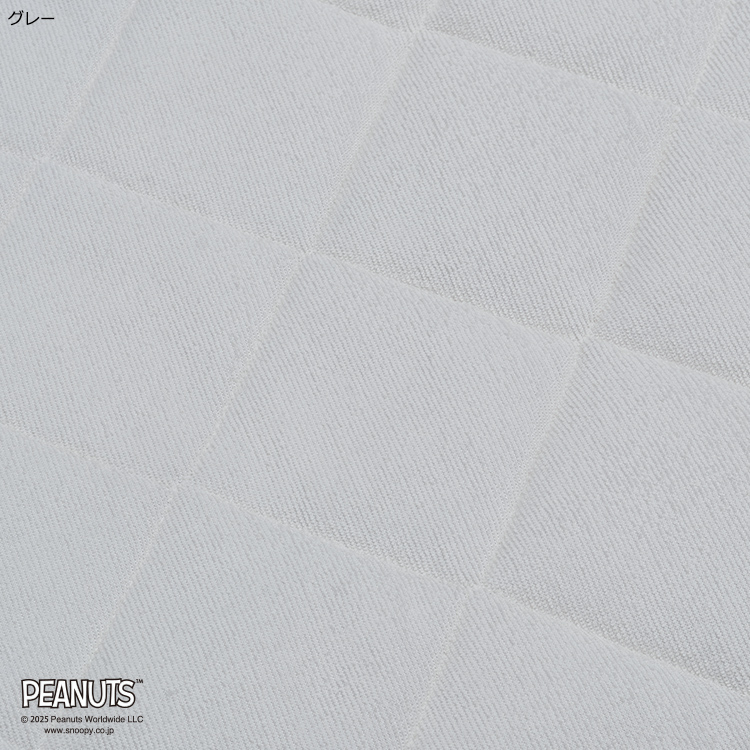 PN5601BD 敷きパッド (シングル)100×200cm
