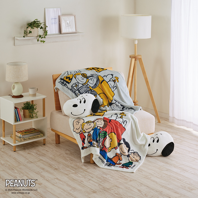 PN5656BD クッションinブランケット ひざ掛け 100×70cm　クッション 約35×25cm