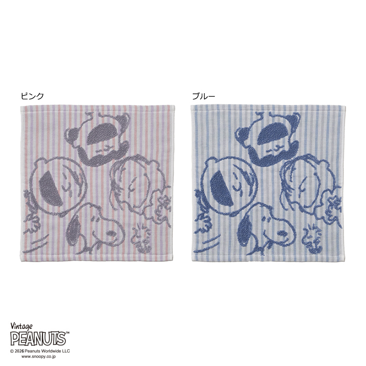 PN6602TW ウォッシュタオル (ウォッシュタオル)34×35cm