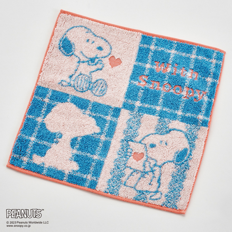 PN3623TW ミニタオル （ミニタオル）25×25cm：タオル