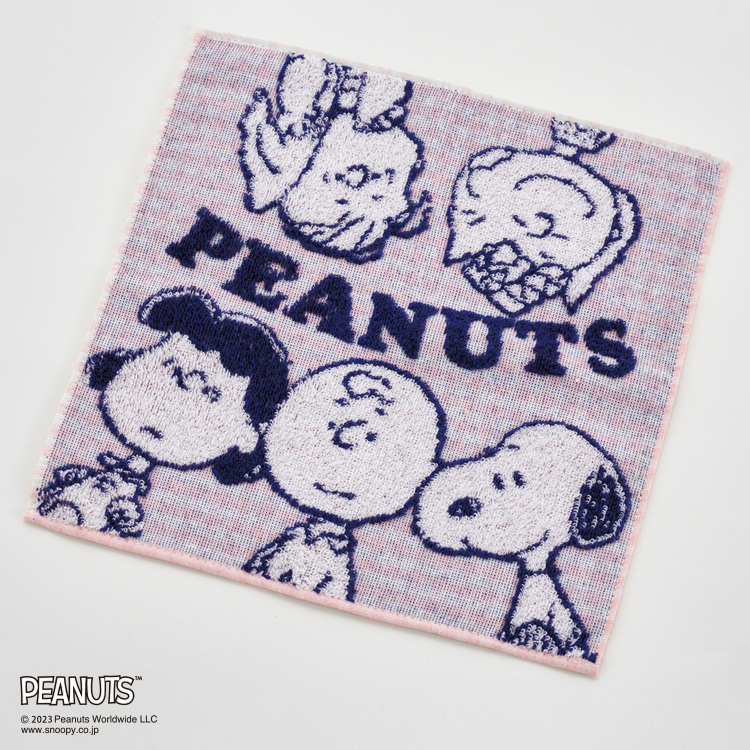 PN3624TW ミニタオル （ミニタオル）25×25cm：タオル