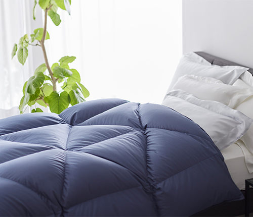 nishikawa PREMIUM nishikawa PREMIUM