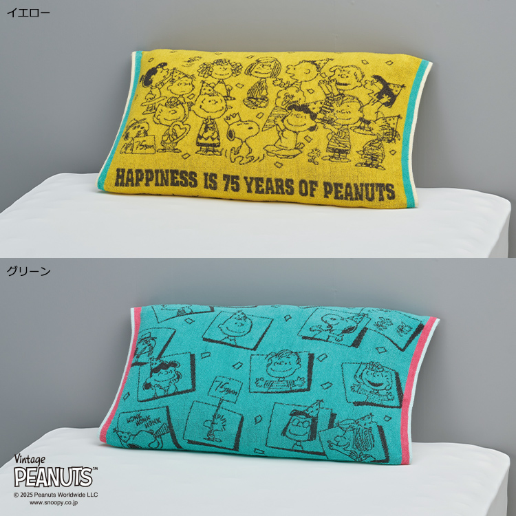 PN5668TW のびのびタオルピローケース 64×34cm