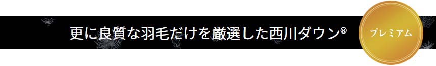 さらに良質な羽毛だけを厳選した西川ダウンプレミアム