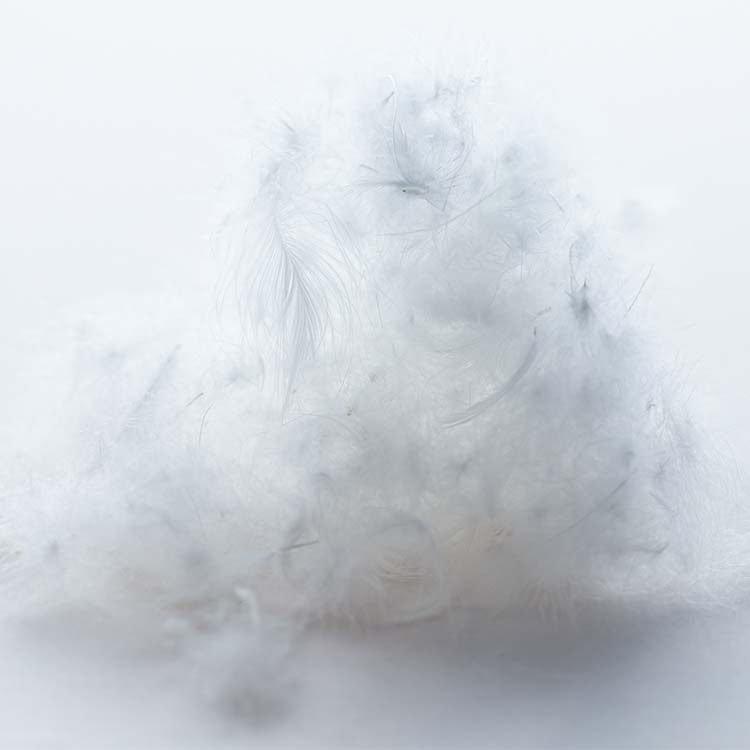 EK9102 クリスターわた（ダウン・フェザー＆わた用）補充用パック 50g：メンテナンス・オプション