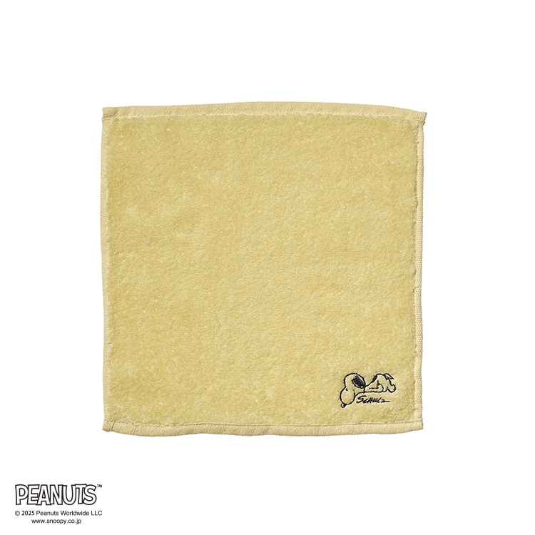 PN5601TW ミニテリー (ミニテリー)25×25cm