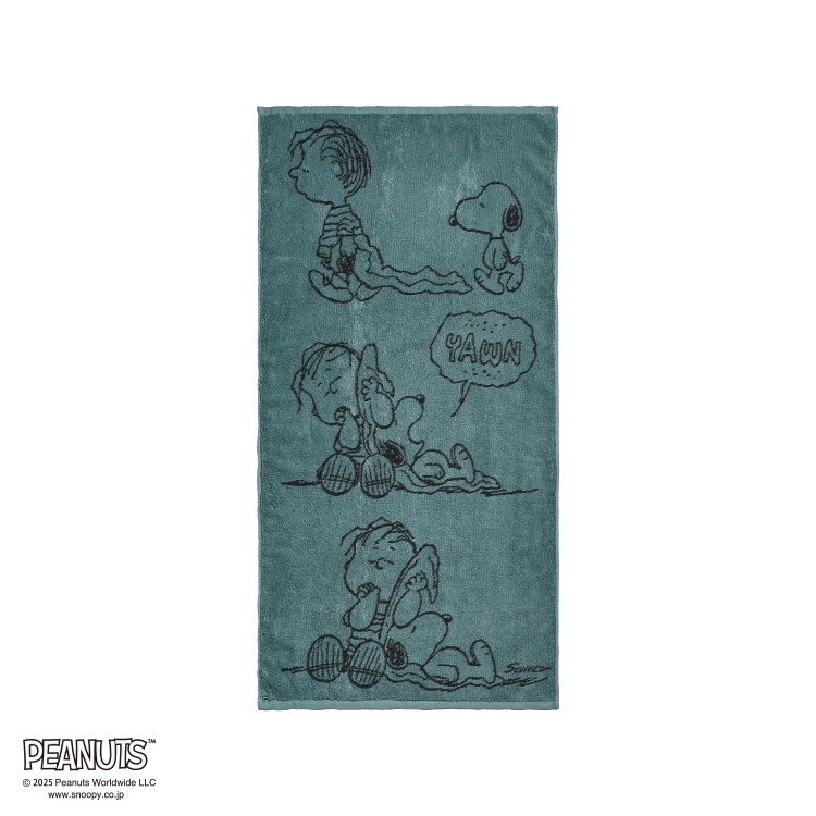 PN5604TW バスタオル (バスタオル)60×120cm