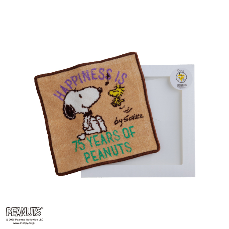 PN5664TW シェニールミニタオル (シェニールミニタオル)23×23cm