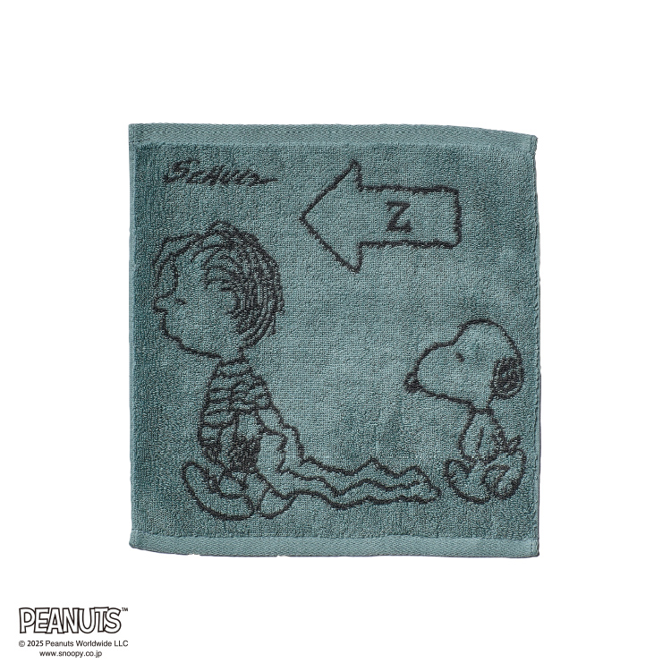 PN5604TW ミニテリー (ミニテリー)25×25cm