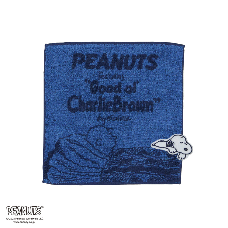 PN5613TW ミニテリー (ミニテリー)25×25cm