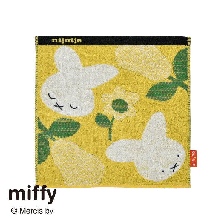 DB5605 ミニタオル (ミニテリー)25×25cm