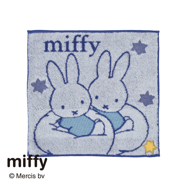 DB5607 ミニタオル (ミニテリー)25×25cm