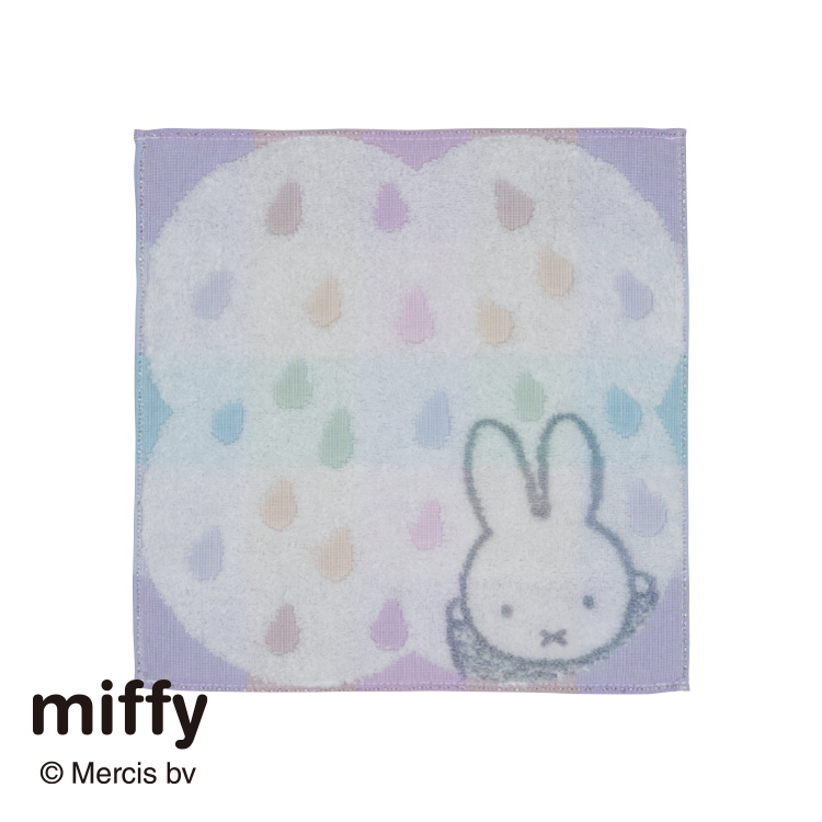 DB5608 ミニタオル (ミニテリー)25×25cm