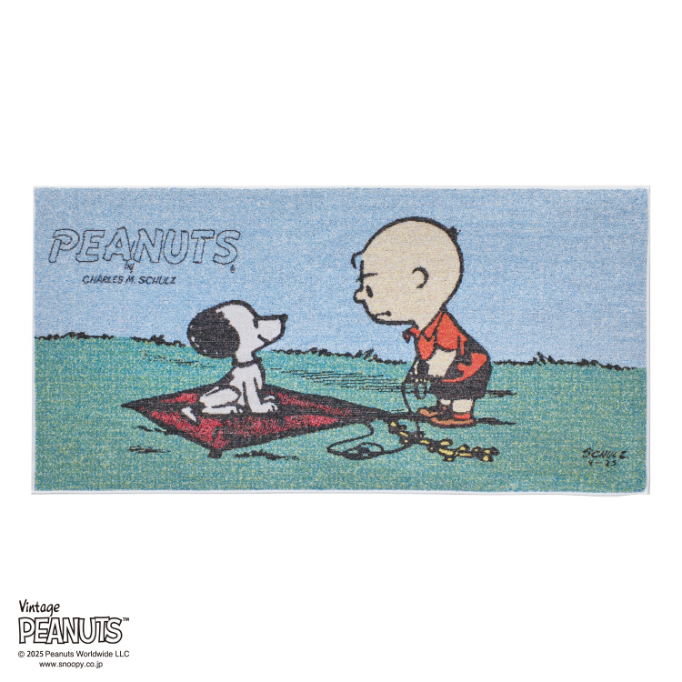 PN5657TW バスタオル