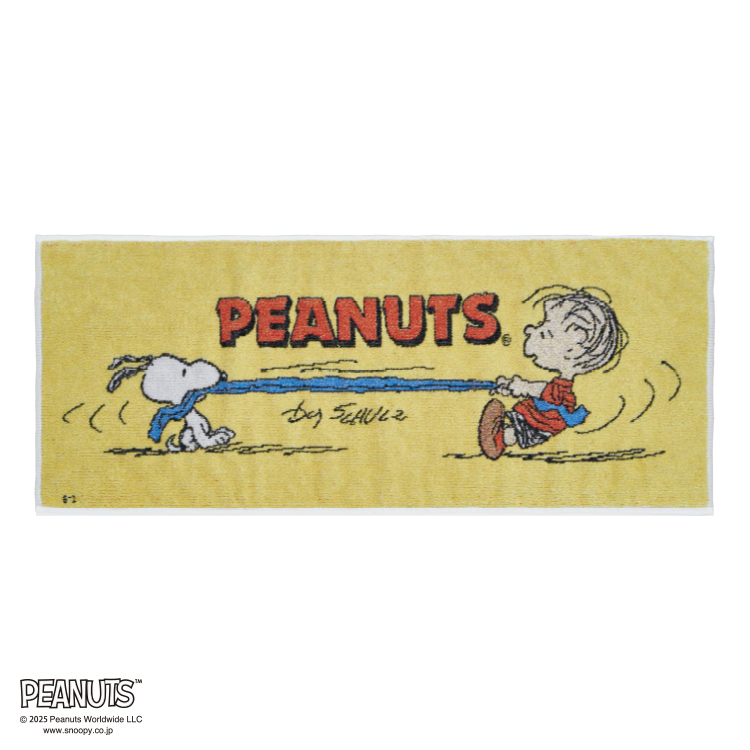 PN5660TW フェイスタオル