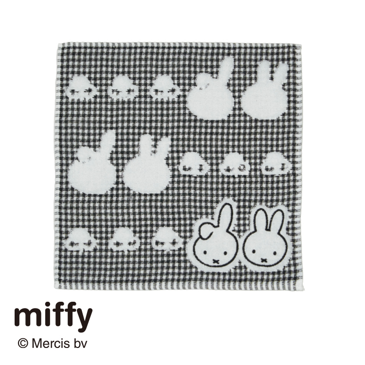 DB5655 ミニタオル