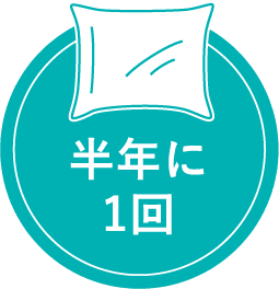 半年に1回