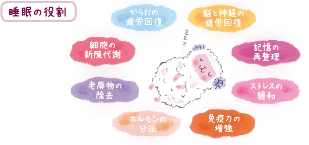 日本睡眠科学研究所が考える「いい眠り（快眠）」とは？