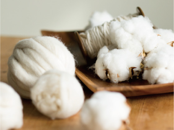 Cotton コットン