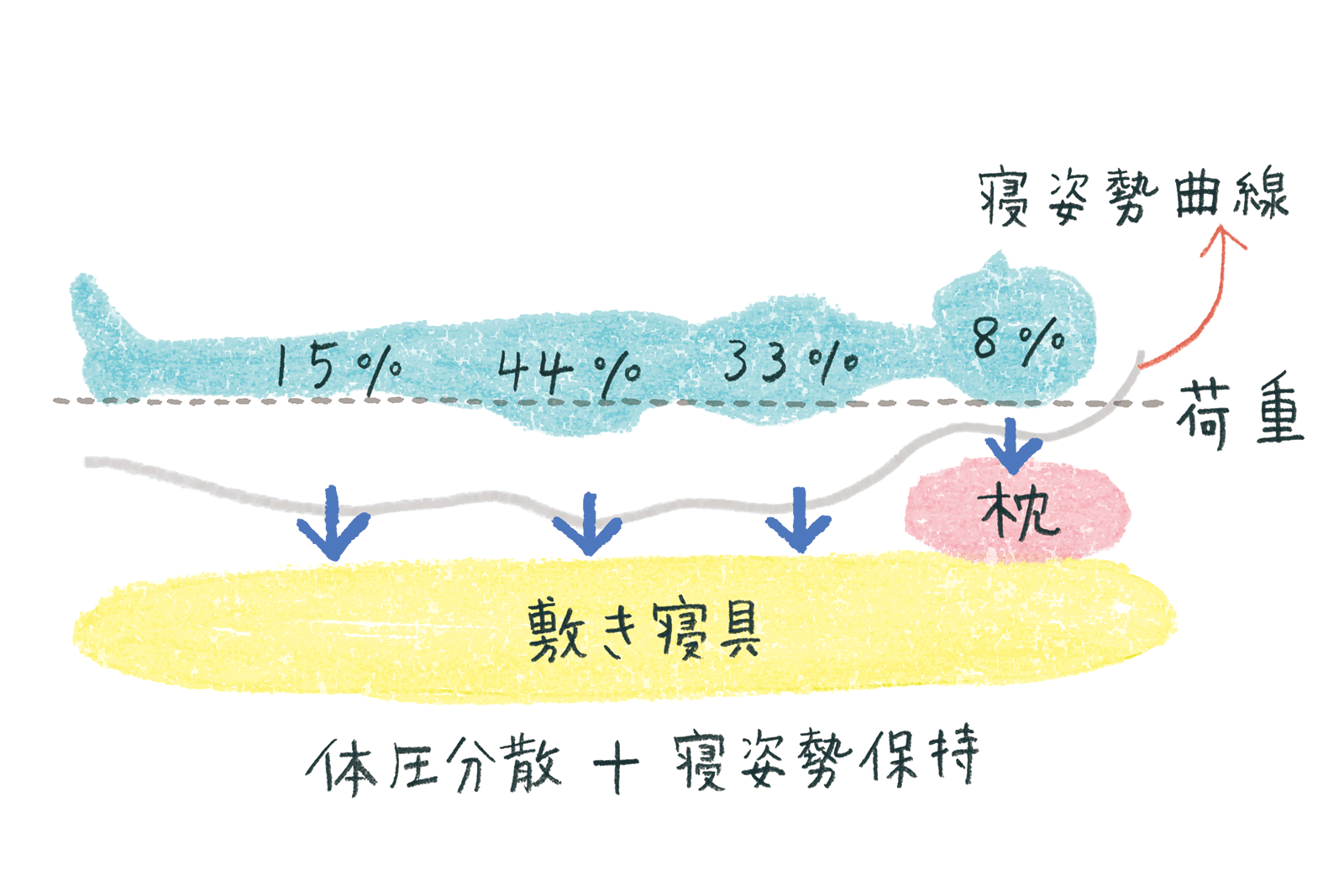 寝ているとき 実は体重の44 を腰で支えている 眠りのレシピ ふとんなどの寝具なら西川公式サイト