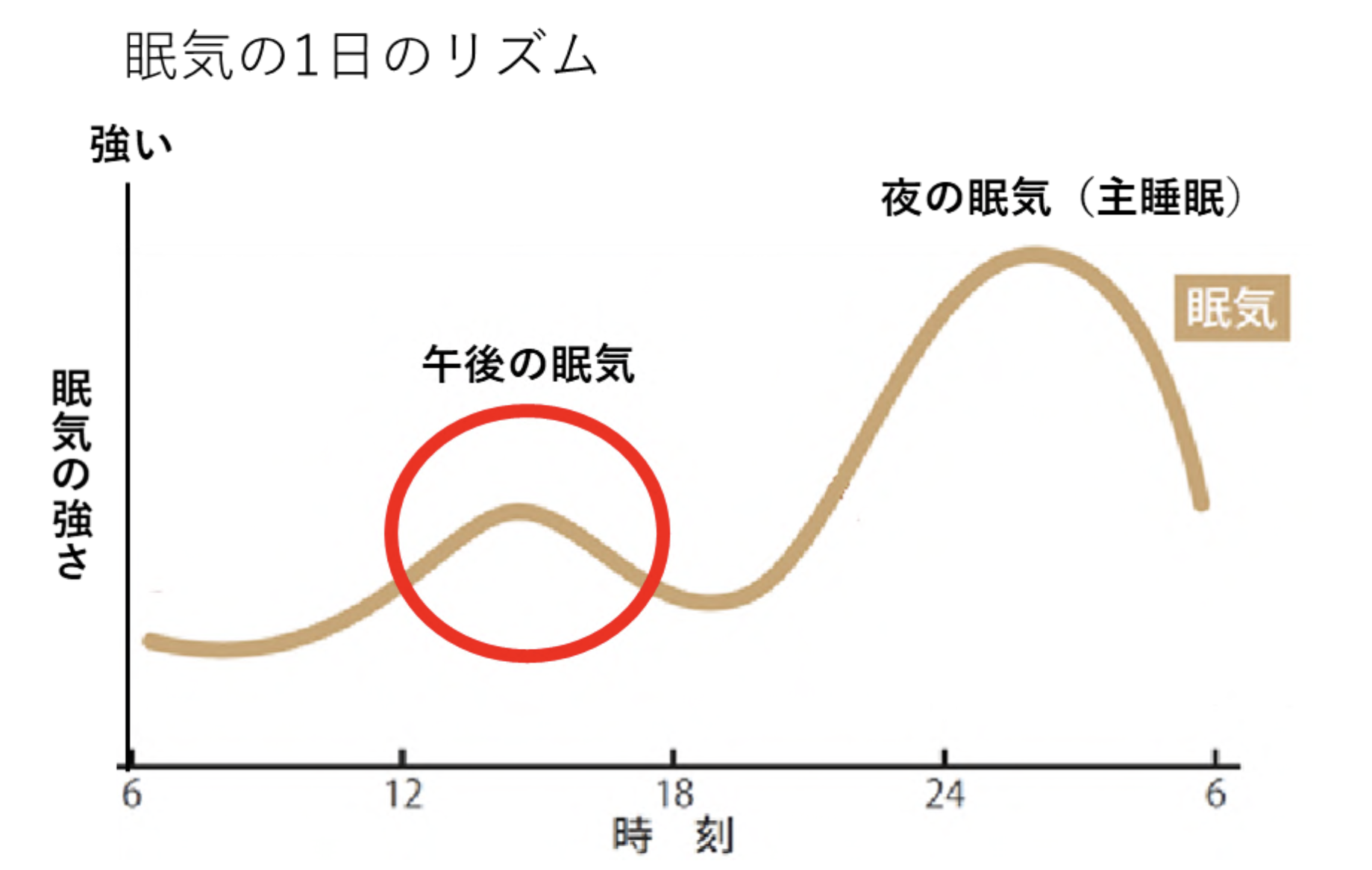 眠気の1日のリズムを表した図