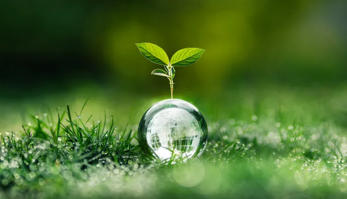 サスティナビリティ