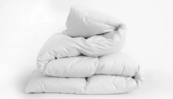 羽毛リサイクル