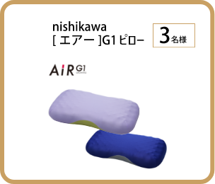 銀賞　nishikawa [エアー]G1 ピロー
