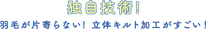 独自技術!羽毛が片寄らない! 立体キルト加工がすごい！