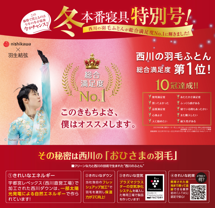 西川の羽毛ふとん
