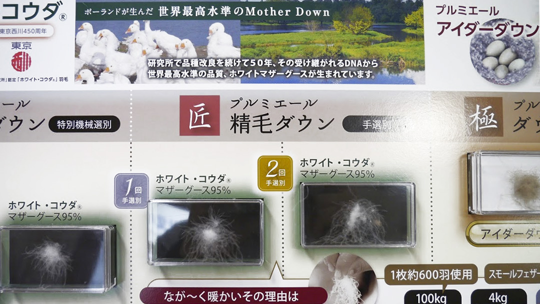 決定版 ダック グース もう悩まない プロが教える羽毛布団の選び方 ふとんのお悩み解決室 西川チェーンの店 決定版 ダック グース もう悩まない プロが教える羽毛布団の選び方 ふとんのお悩み解決室 西川チェーンの店