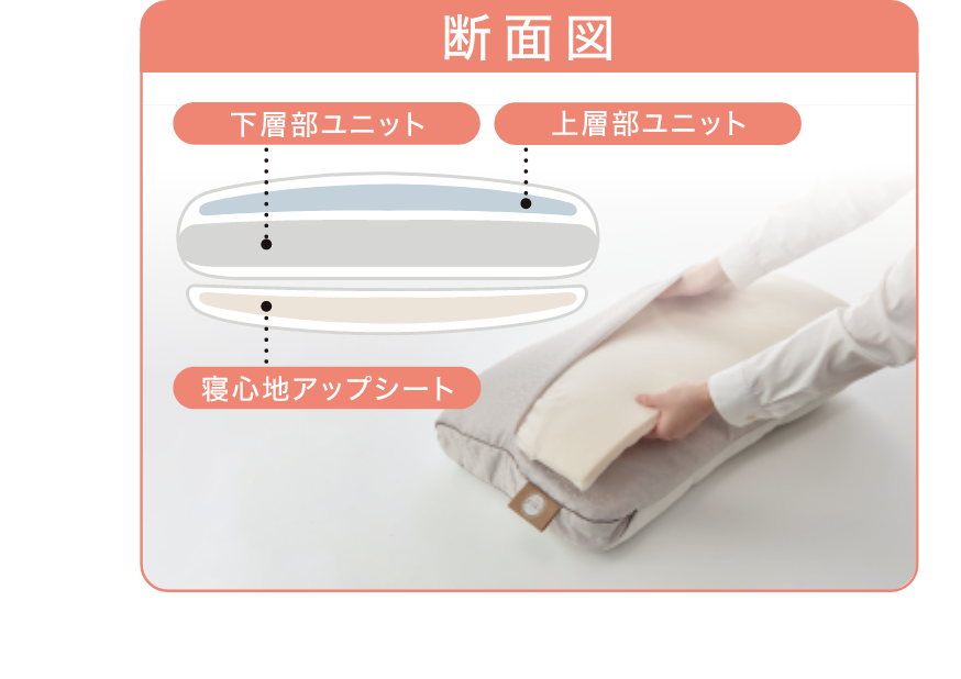 写真:断面図