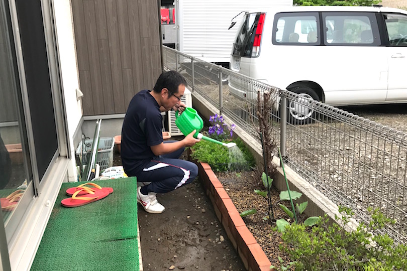 種まきから7日