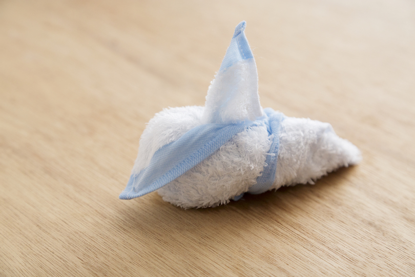 はがした1枚を裏返して、とがった「鼻」を作る