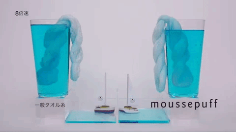 吸水性の実験