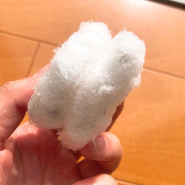 種綿