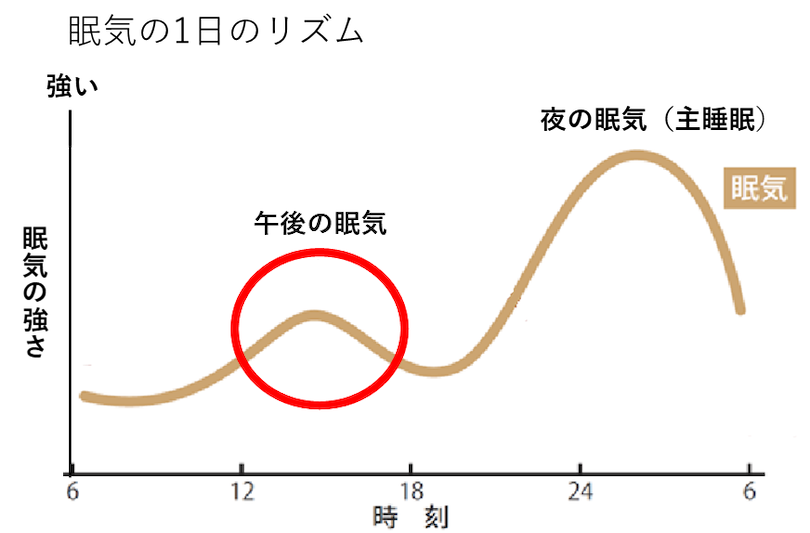 眠気の一日のリズム