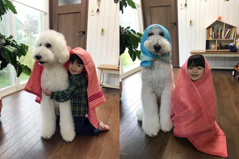 タオルと戯れる様子がなんとも愛くるしい