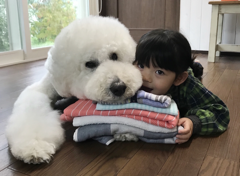 一緒に住んでいるまめちゃんも一緒に、パシャリ