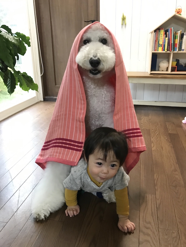 弟のむぎくんも登場