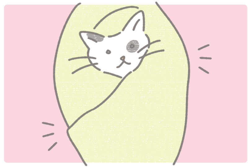タオルを使って猫ちゃんを落ち着かせる方法