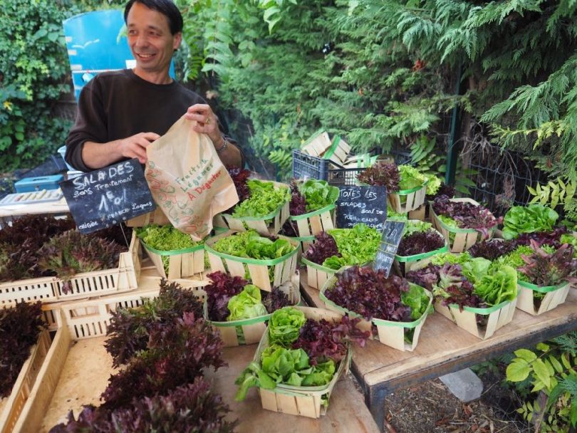 フランスでもっとも美味しい野菜が採れるのは、ミストラルのおかげ