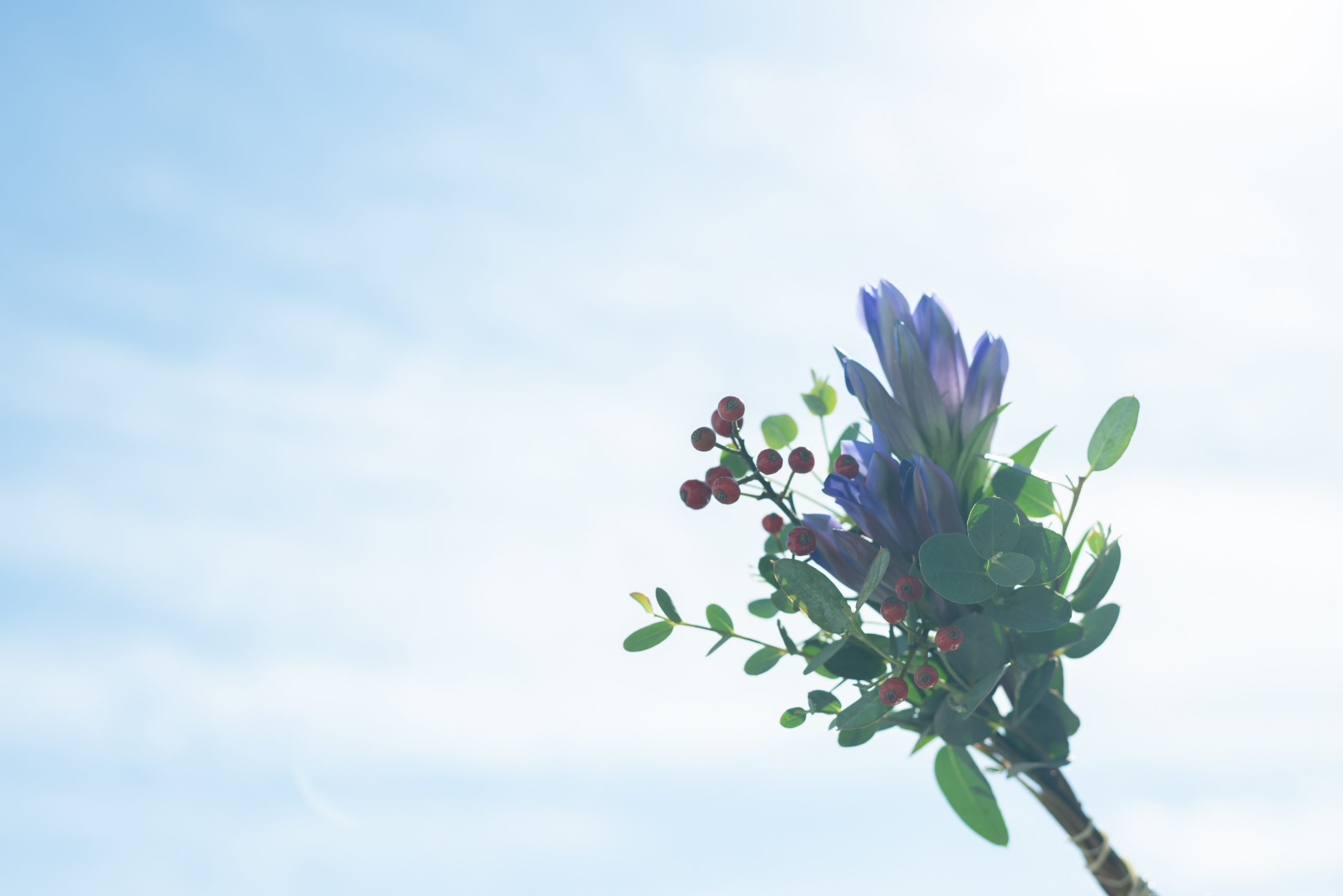 青空と花束