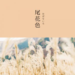 尾花色のイメージ画像