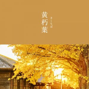 黄朽葉のイメージ画像