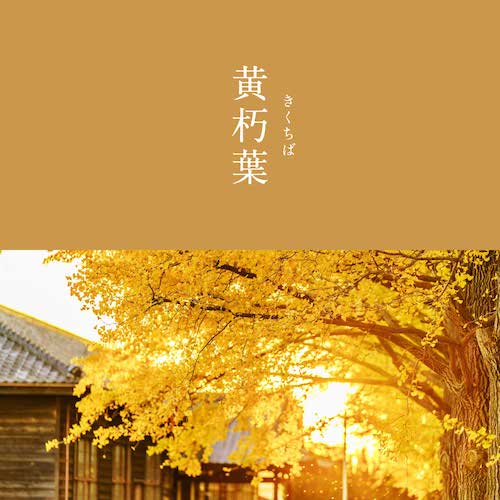 黄朽葉のイメージタオル