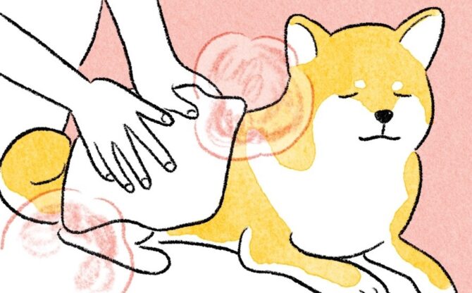 犬の下半身にホットタオルを当てているイラスト