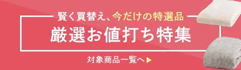厳選お値打ち特集