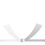 （白黒結び切り）